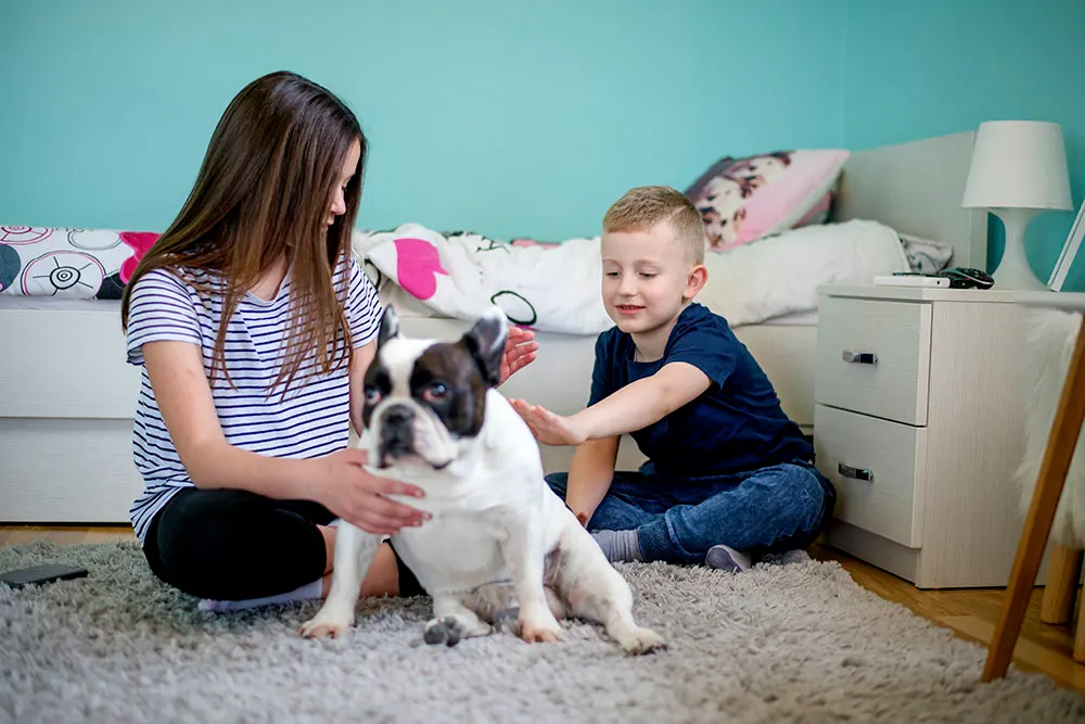 Why does my dog scoot on the carpet?