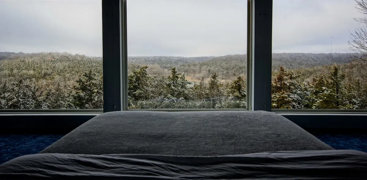windows overlooking forest in Missouri