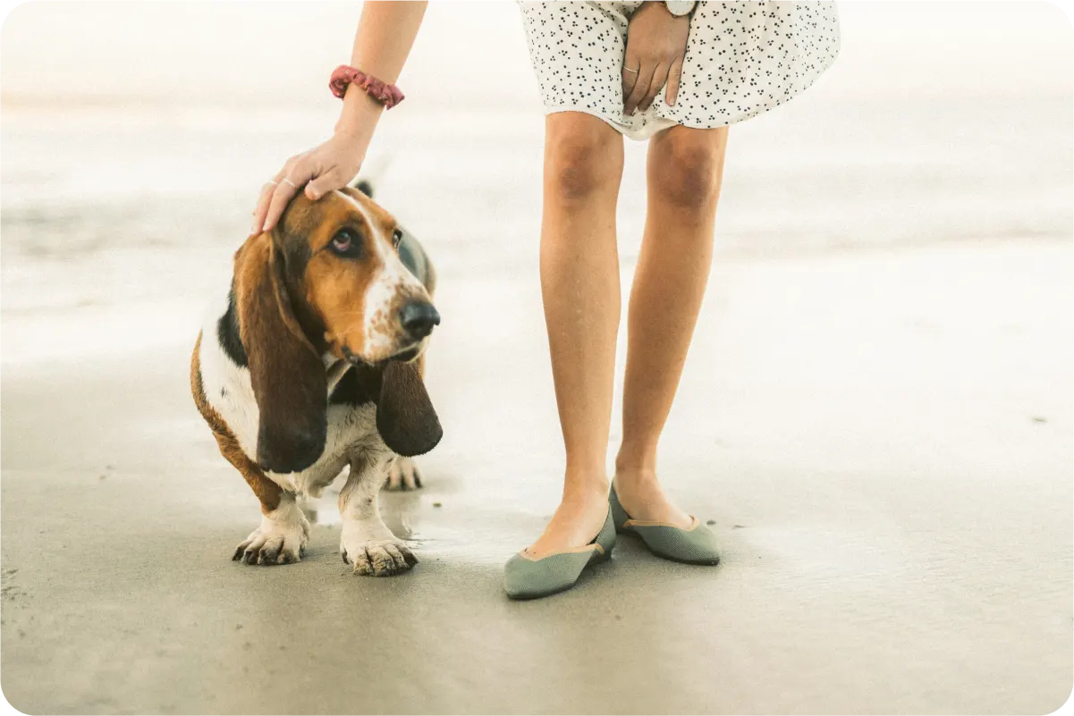 woman walking with basset hound on beach