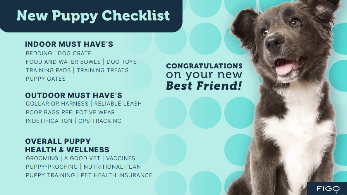 Puppy-proofing: 10-point Checklist for Preparing Your Home & Garden fo –  Harringtons Pet Food