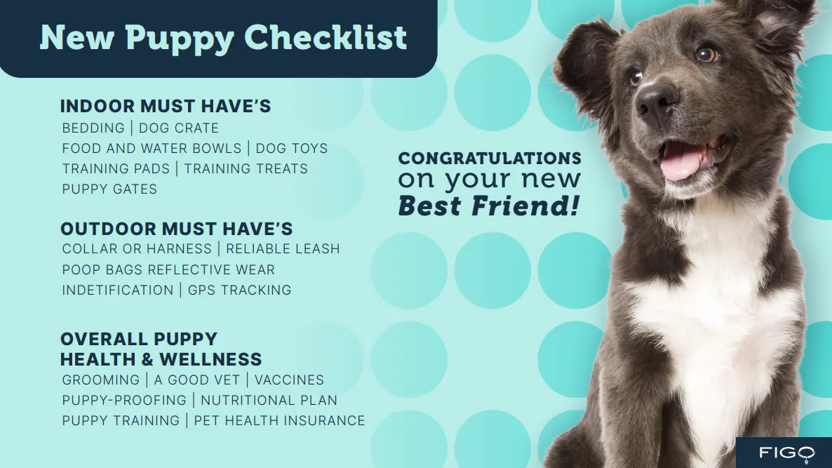 New puppy checklist
