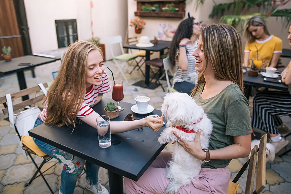 Dog friendly bars and pubs in the US
