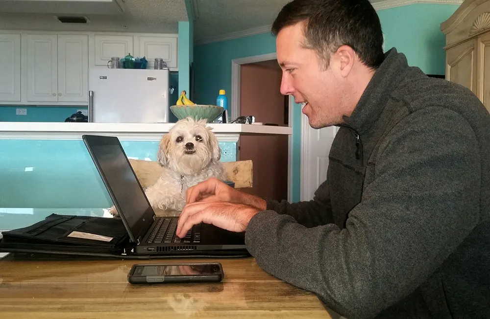 6 tips for working from home with pets