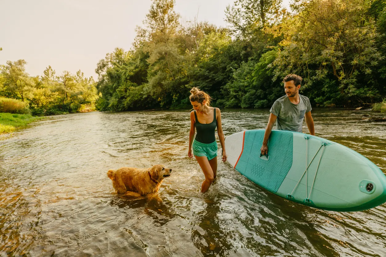 Stand up paddleboarding dog with owners