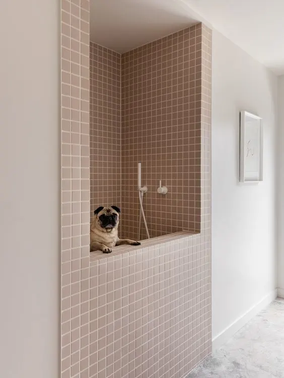 Dog shower in bathroom