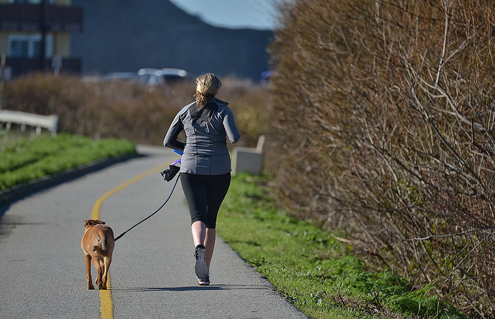 Teaching your dog to walk or run with you