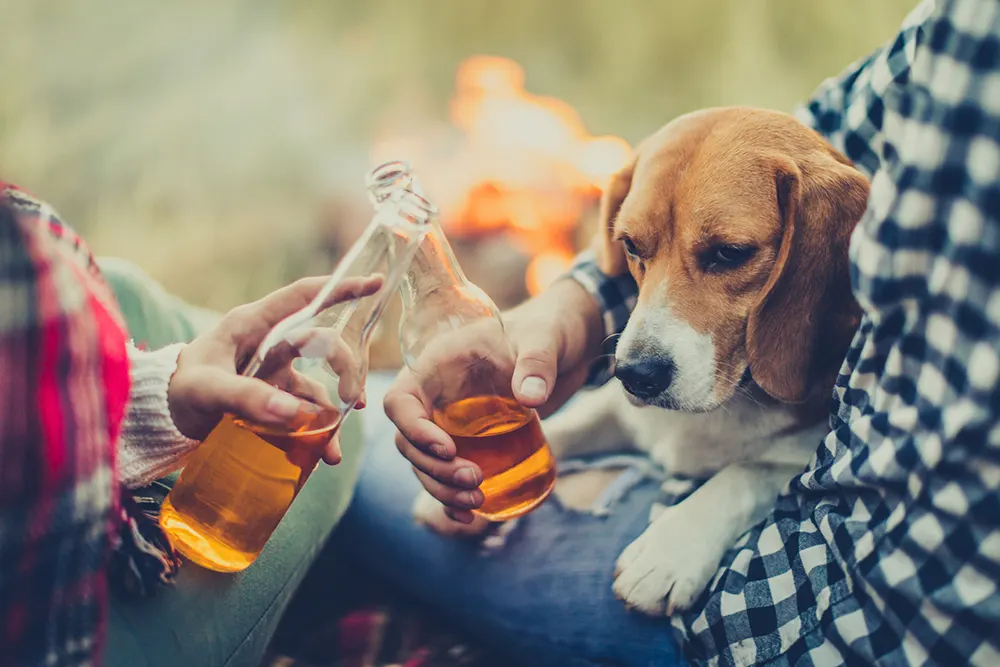 Party beverages unsafe for dogs