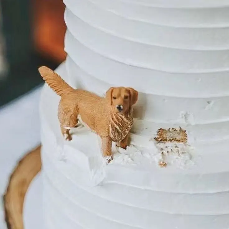 dog wedding cake topper that looks like its eating cake