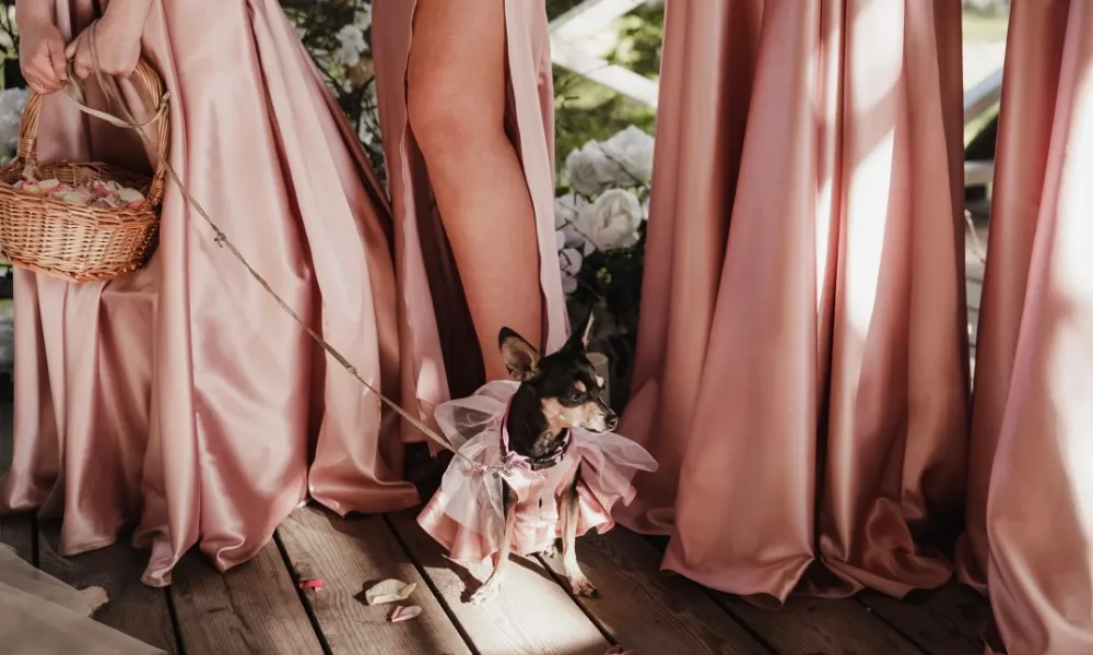 I Do: A Pet-Parent's Guide to Dog Friendly Weddings
