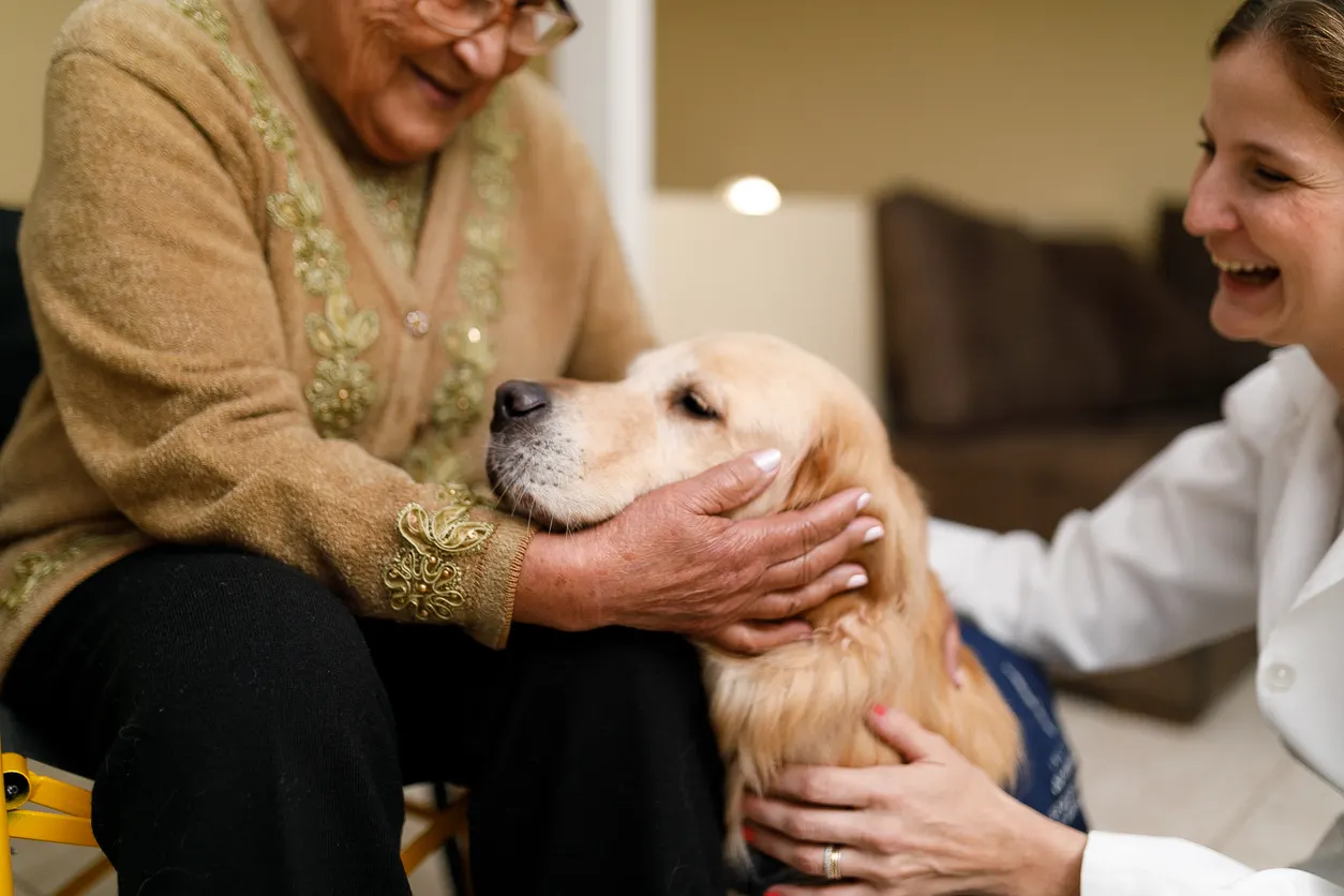 Golden retriever with old woman