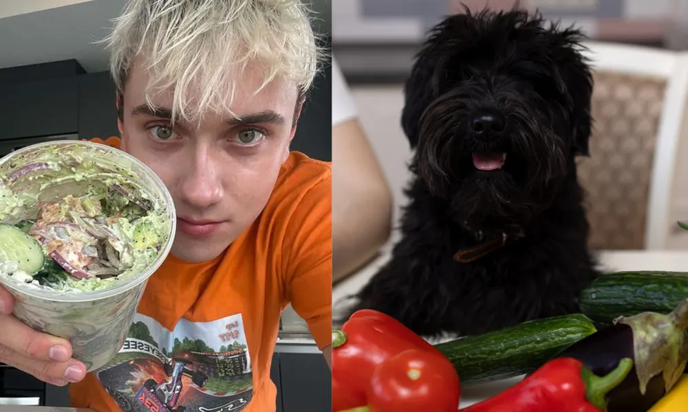 man holds cucumber salad in front of camera and dog sitting in front of veggies