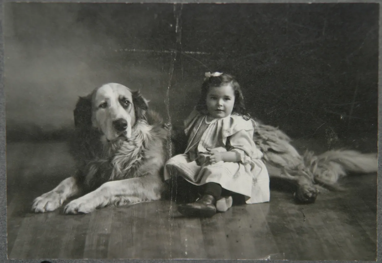 vintage photograph of child and large dog