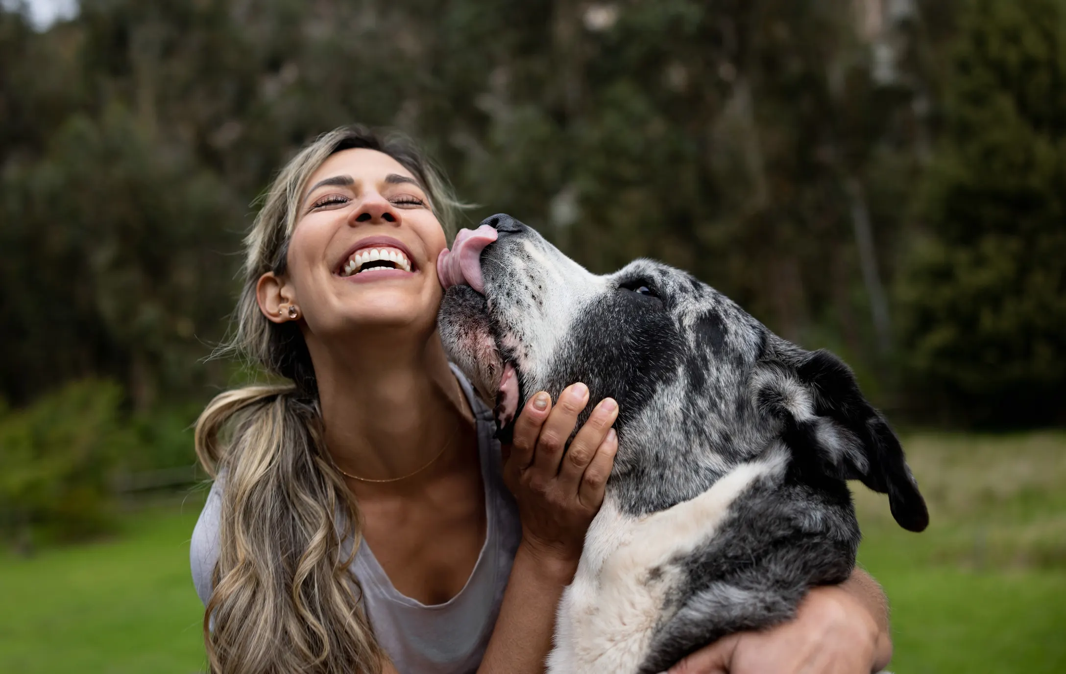 Smiling woman playing with her Great Dane outdoors