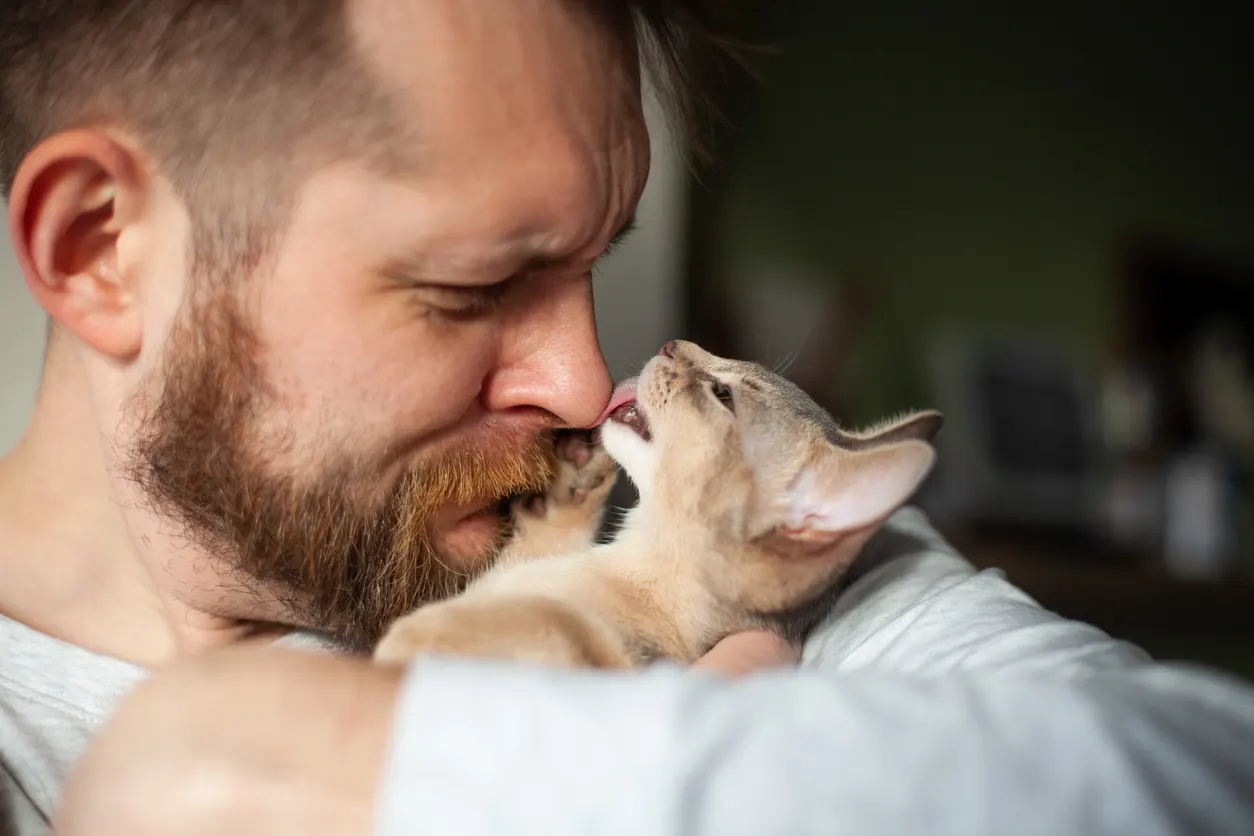 man upset kissing kitten