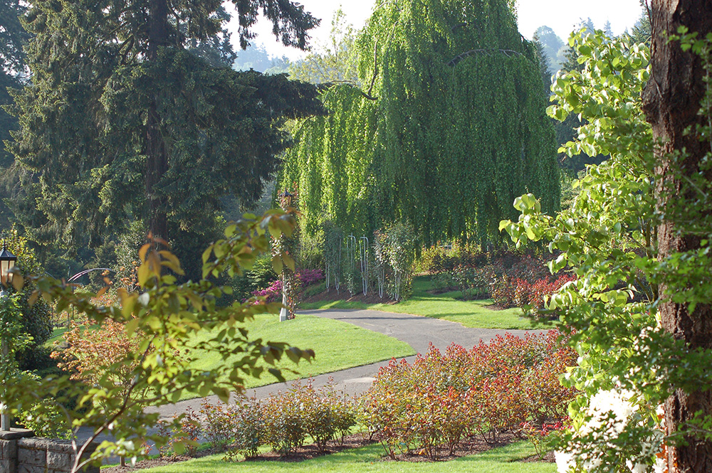 Rose Garden, Portland, Oregon