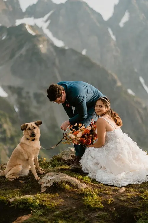 couple front of mountain after eloping with dog at their feet