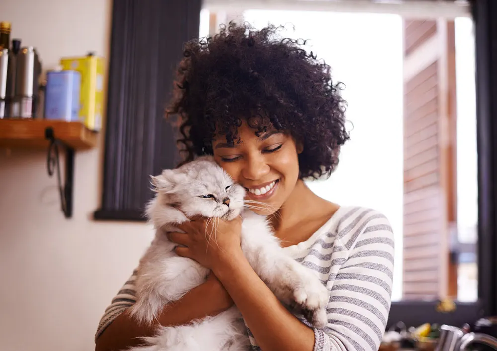 How to Bond with Your Cat & Show Them Affection