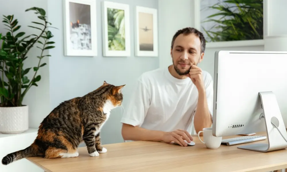 Guy looking at cat