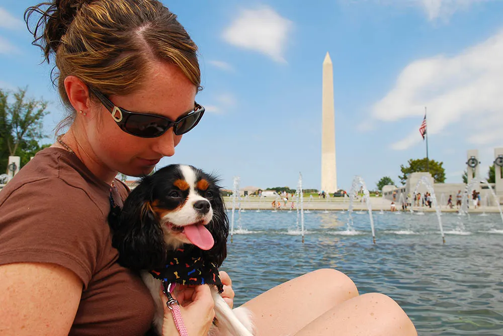 Roam: Rich history and dog friendly cuisine in DC