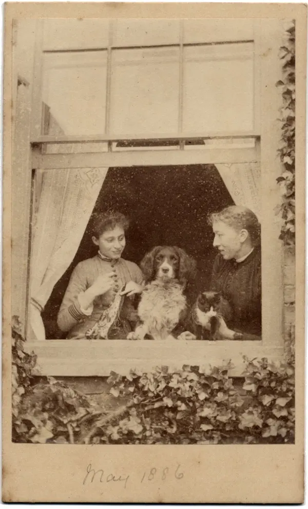 Two women and their dogs in window