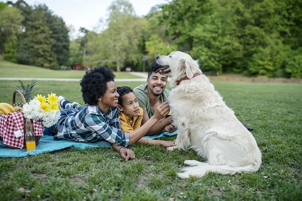 5 warm weather activities to share with your dog