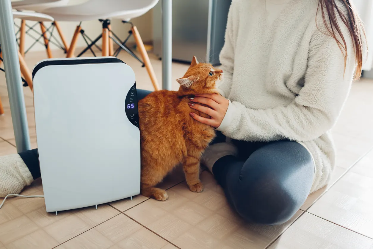 Cat sitting next to AC unit with owner