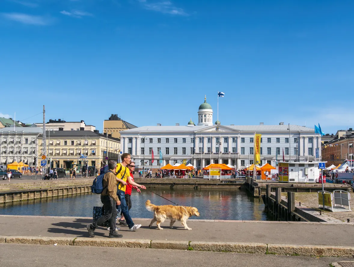 dog being walked in downtown Helsinki Finland