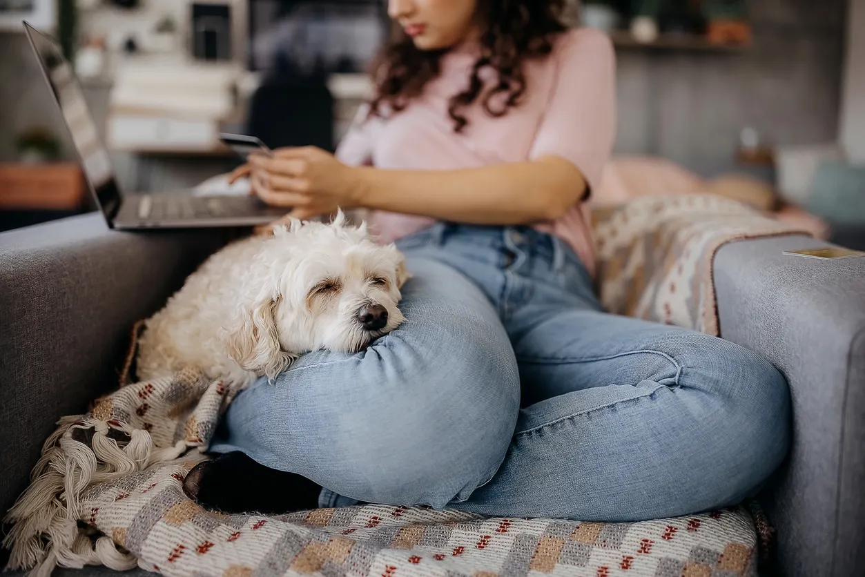 white dog lays on woman's leg while she pays for item online