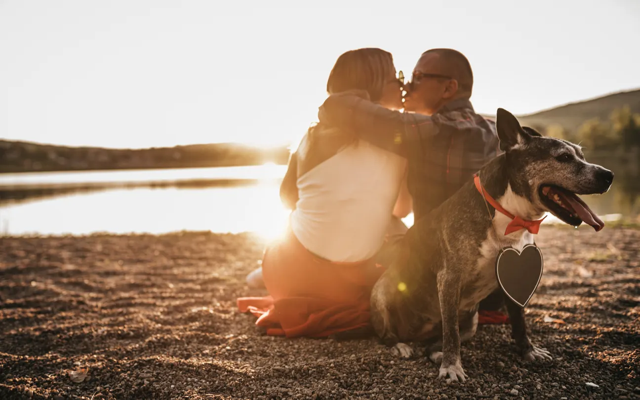 dog sitting behind couple who just proposed on beach