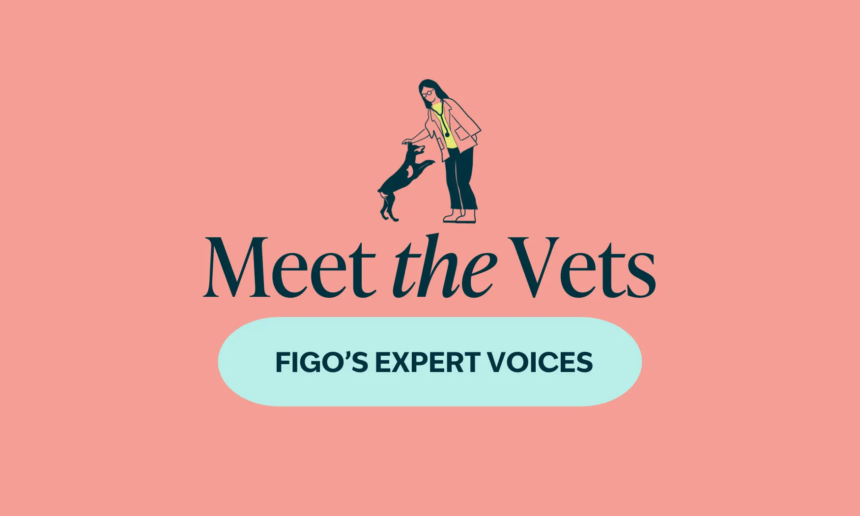 Meet the vets blog header