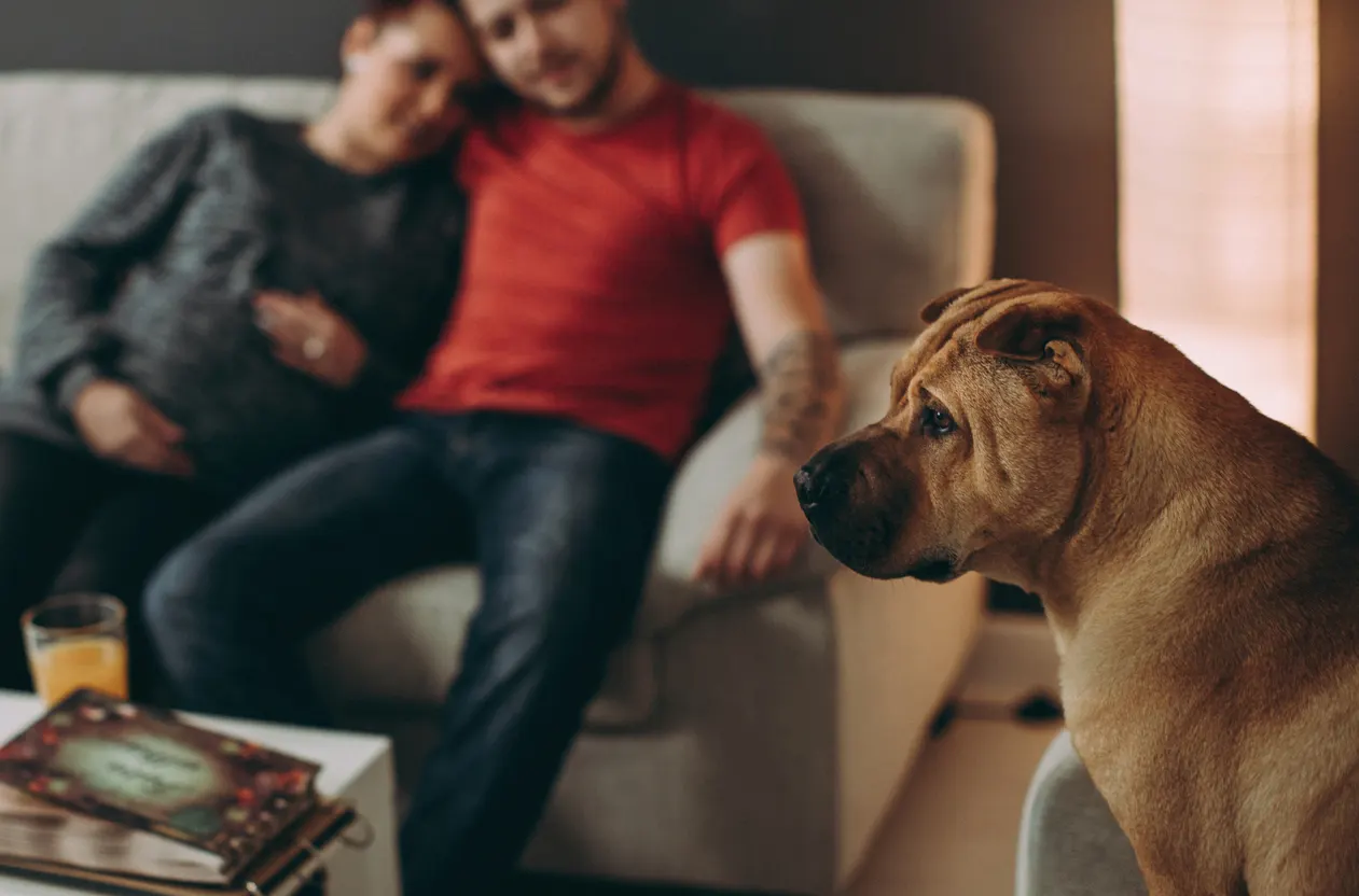Couple cuddling on couch looking at dog