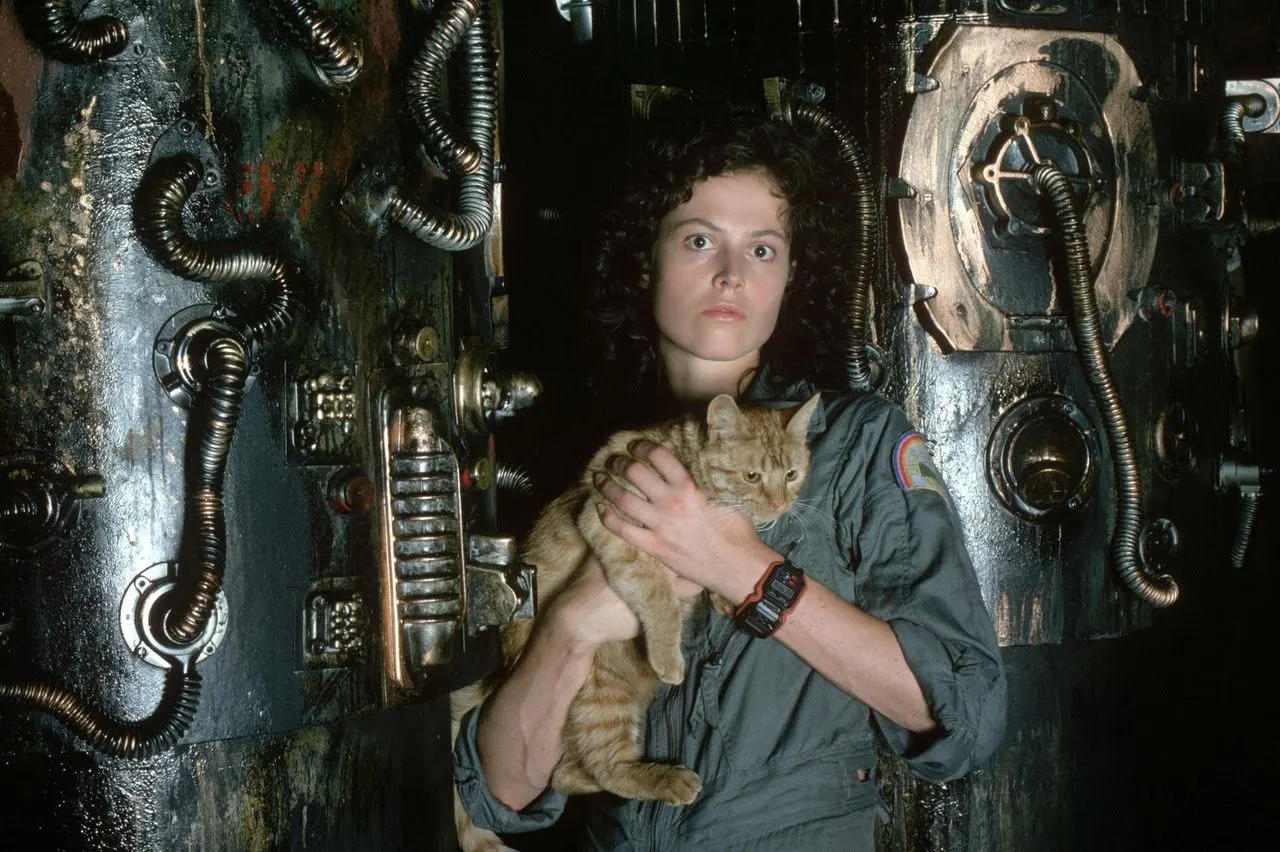 Sigourney Weaver sitting with cat named Jonsey from alien movie