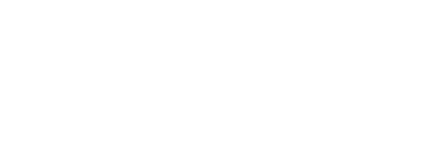 Elon Group