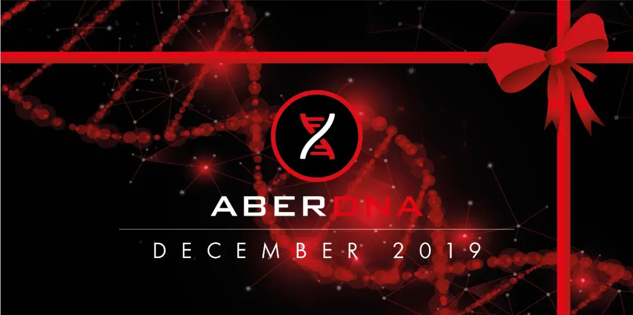 Newsletter | December 2019