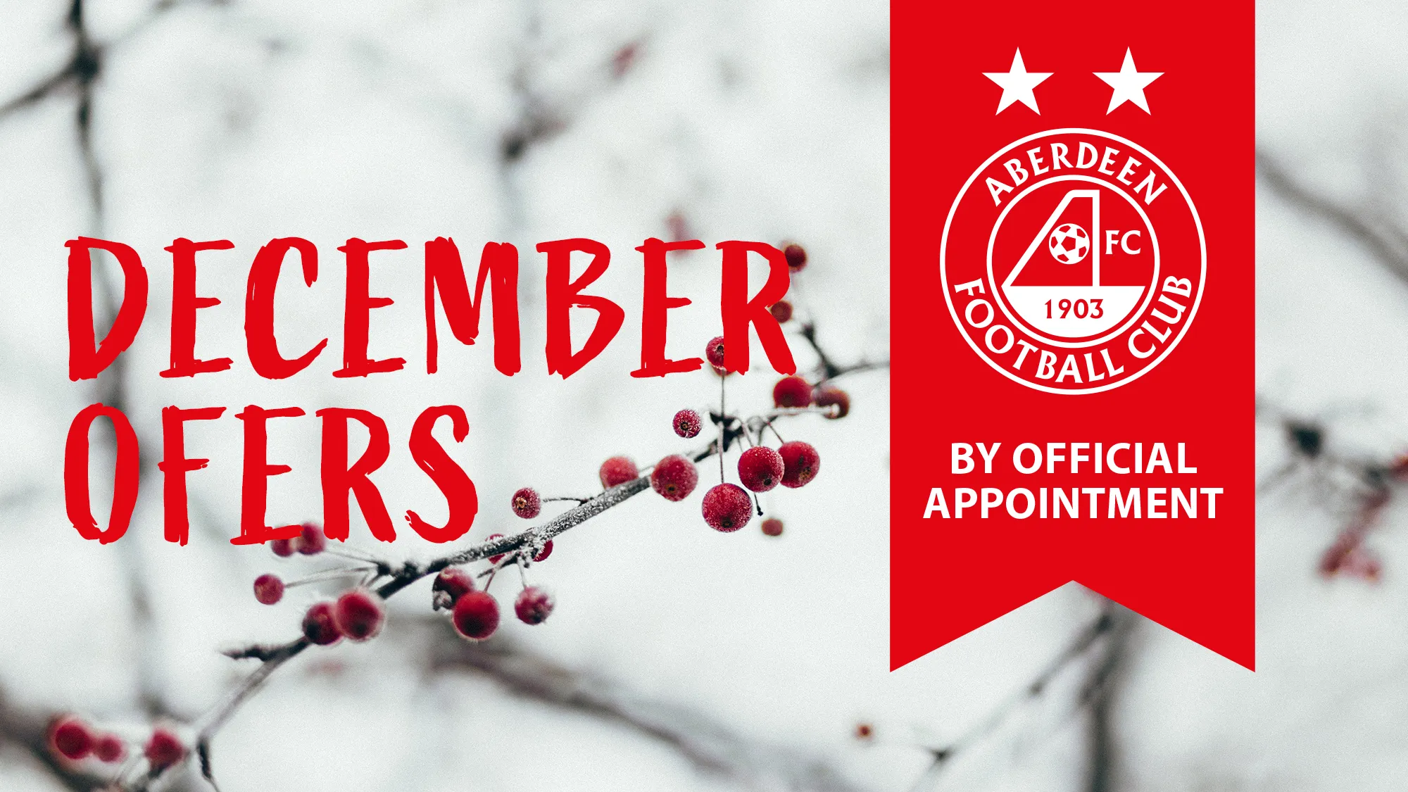 By Official Appointment | December Offers