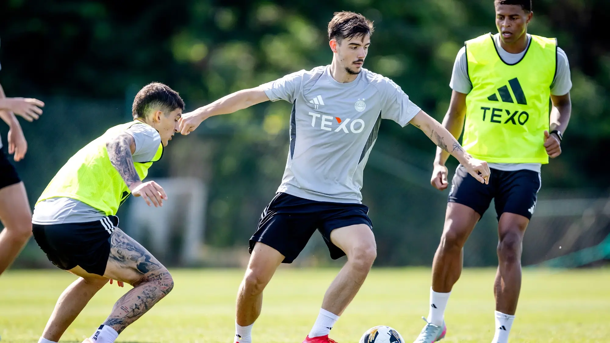 A first interview with Nicolas Milanovic image