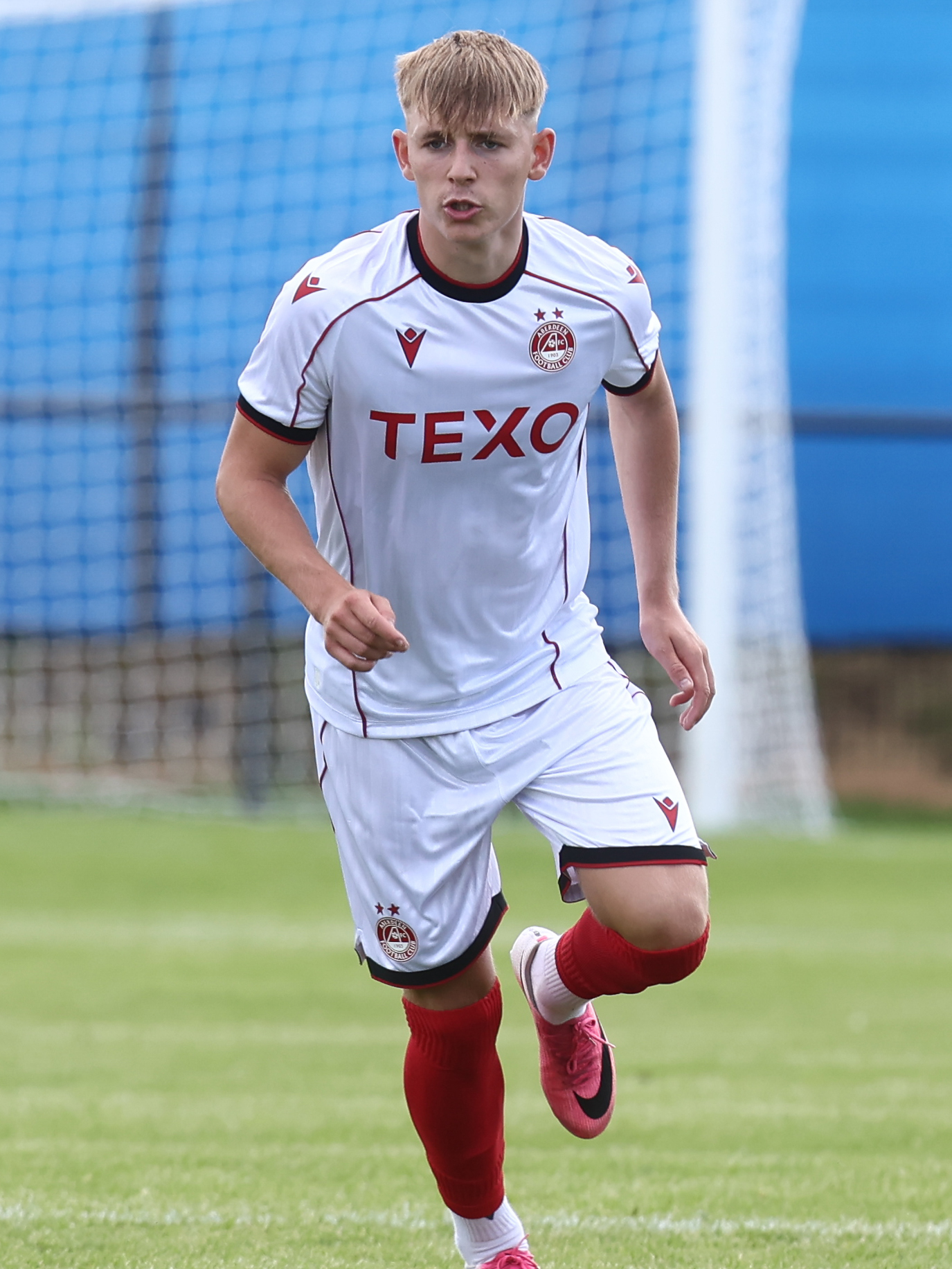 dylan ross Image