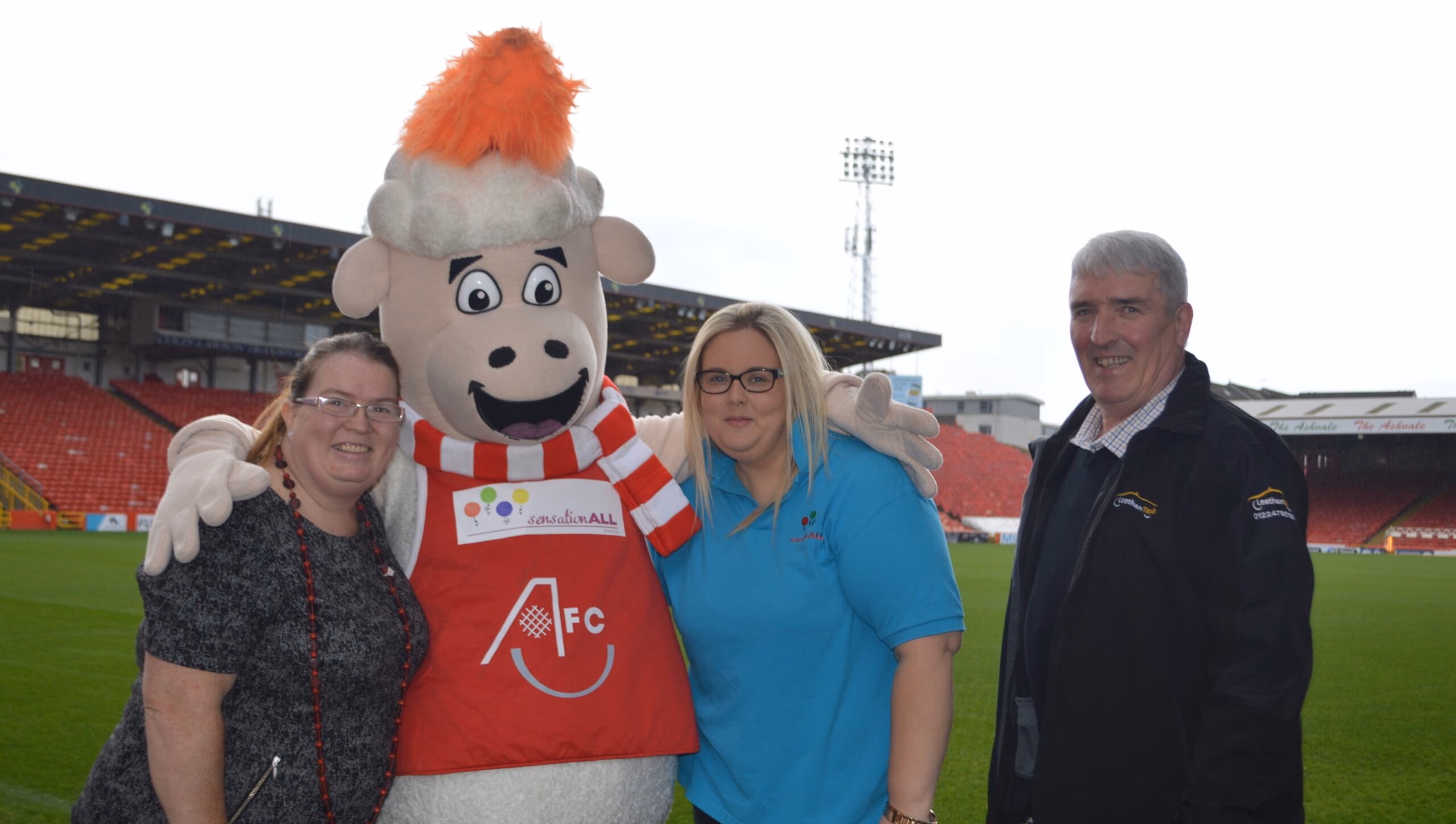 New Sponsor for Donny the Sheep!