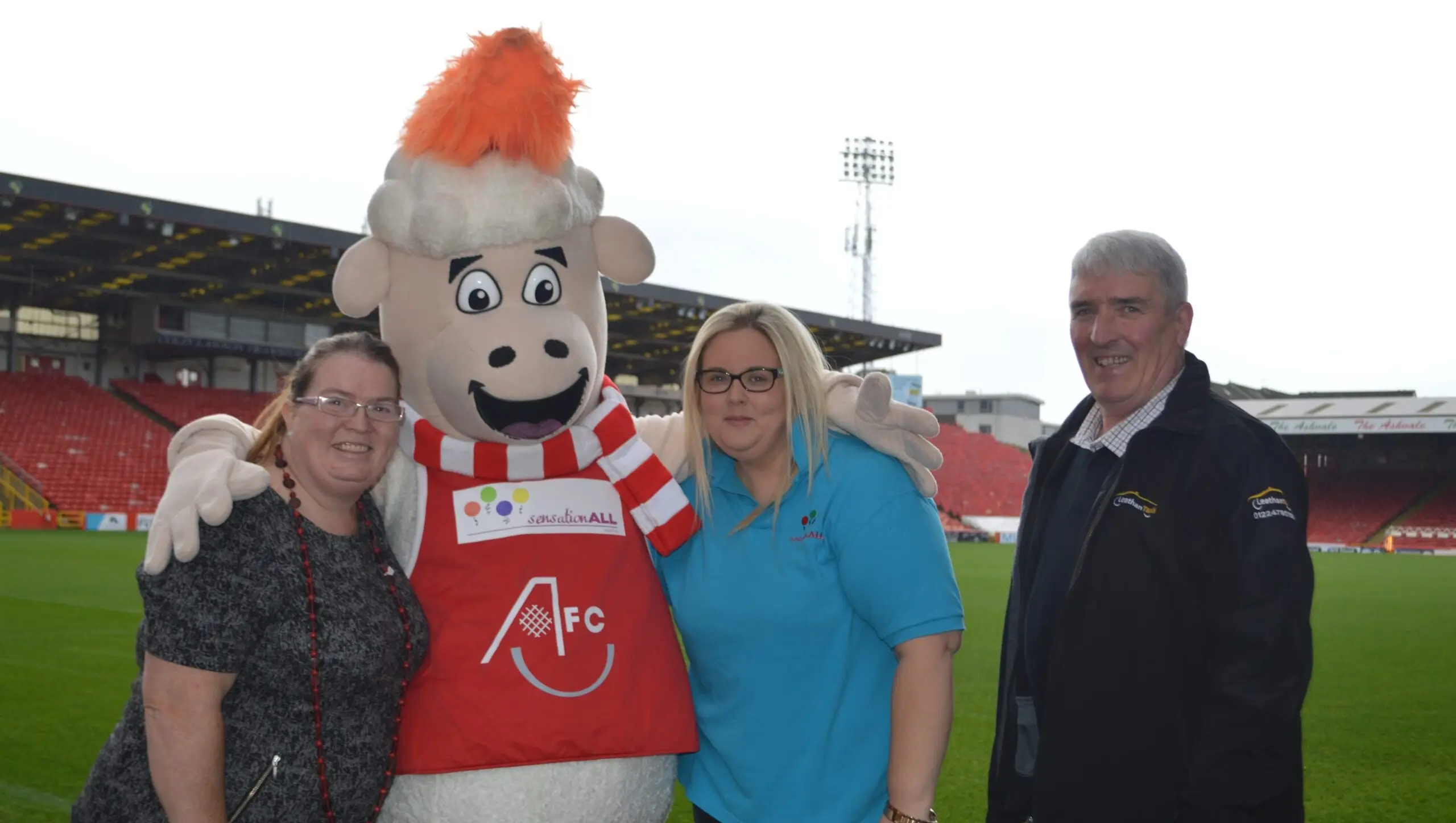 New Sponsor for Donny the Sheep!