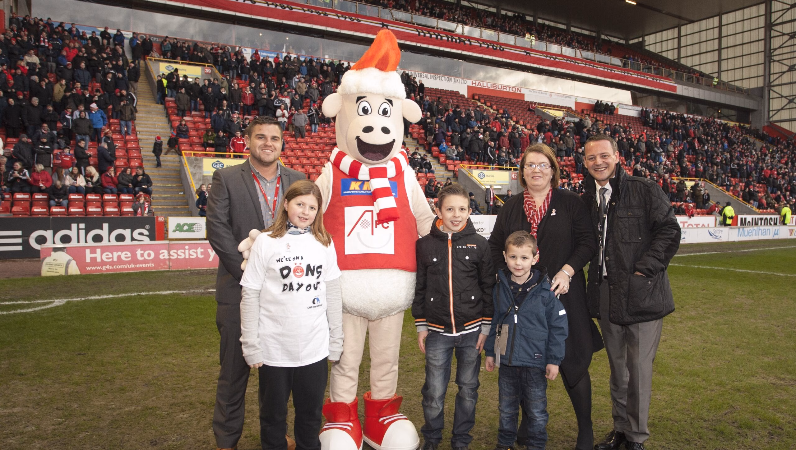 Donny the Sheep makes his debut!