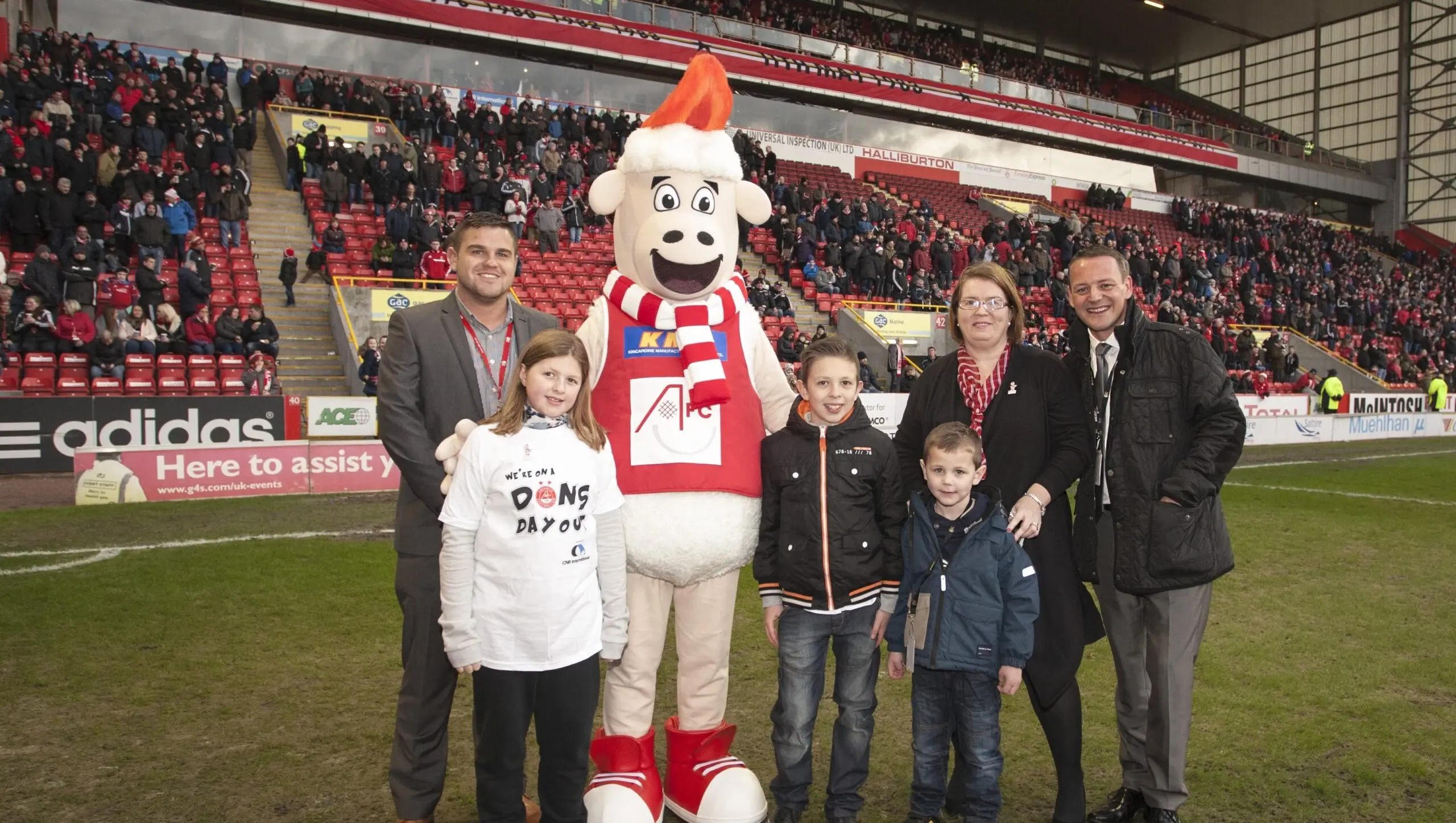 Donny the Sheep makes his debut!