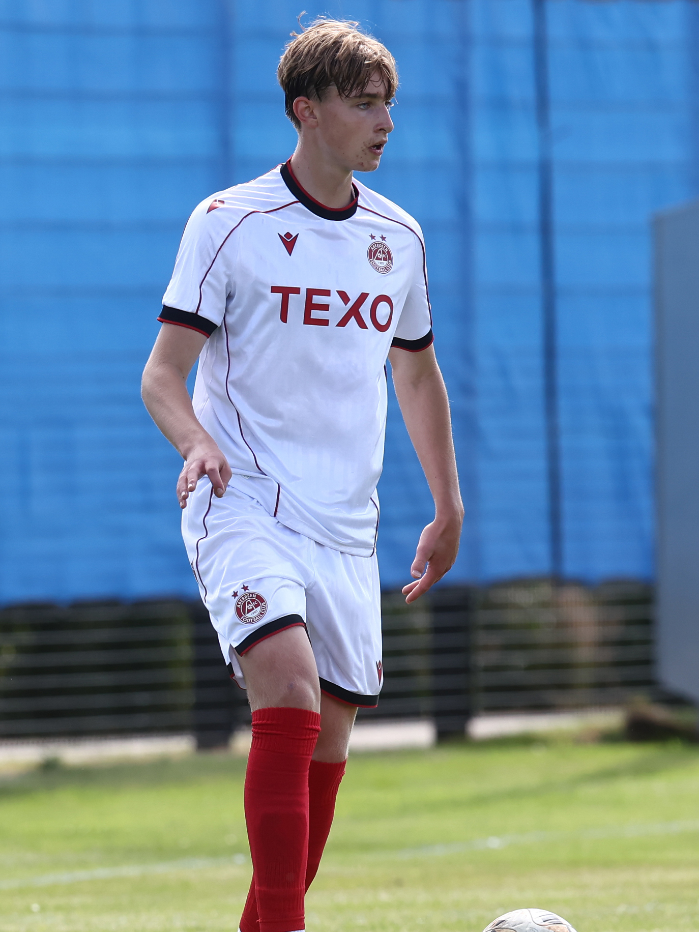 max pocklington Image