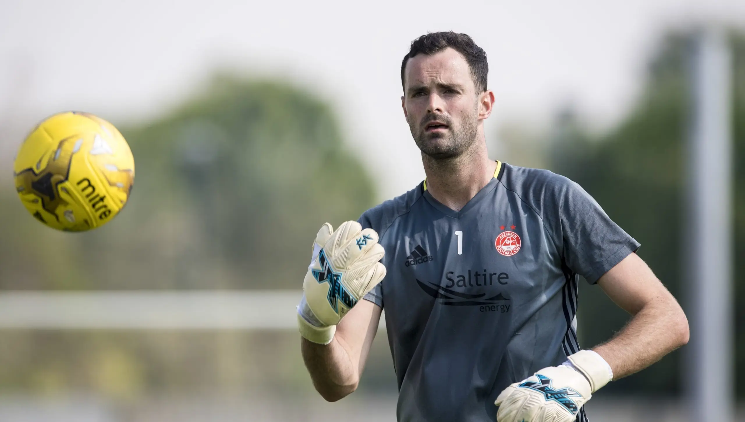 Joe Lewis on RedTV