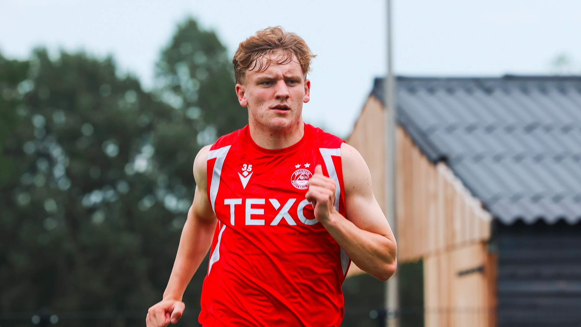 alfie stewart