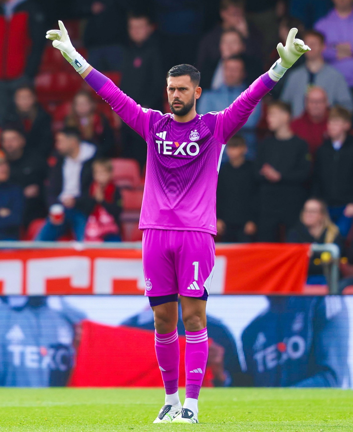 In Safe Hands & Boot Sponsor