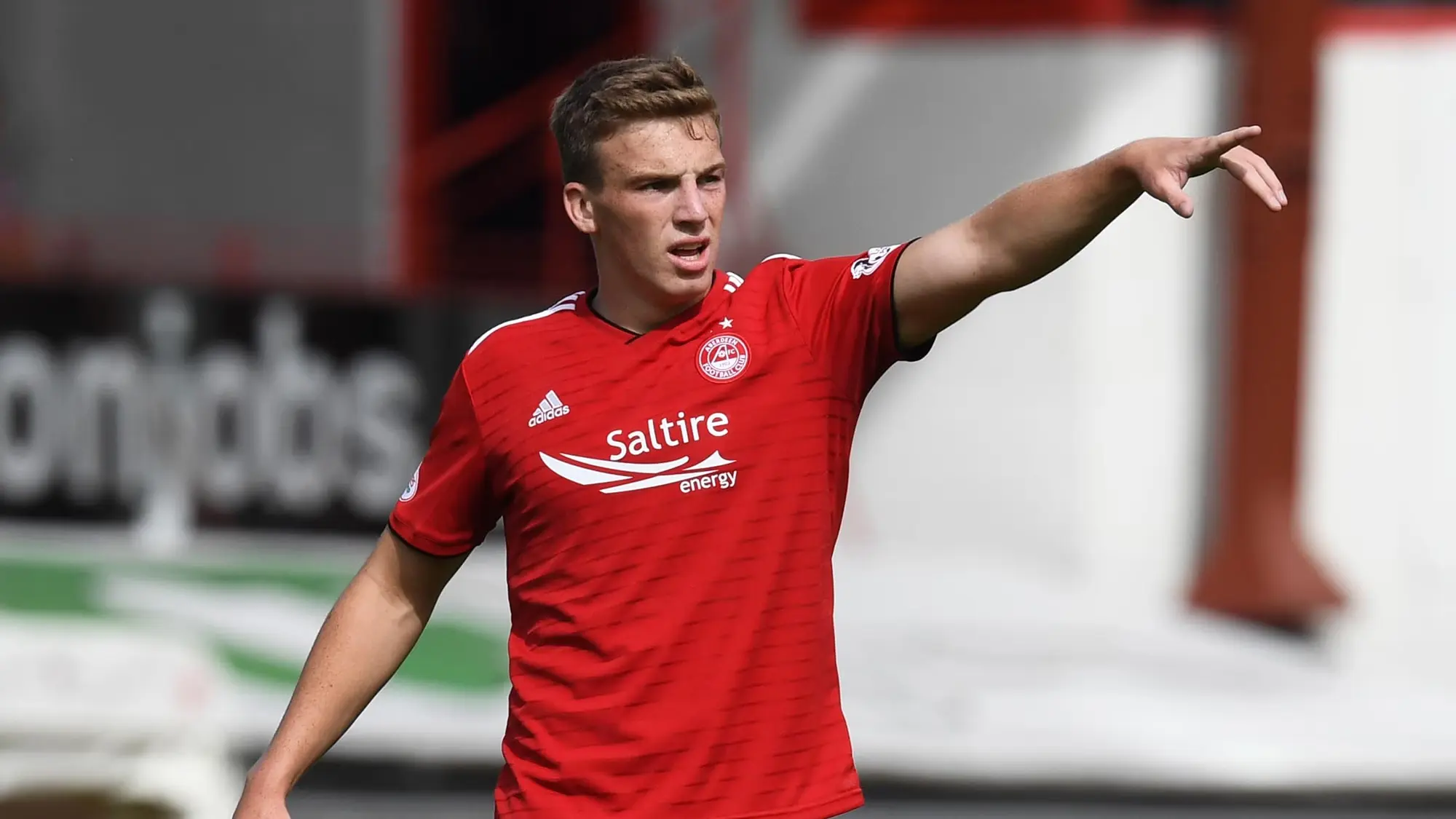 Lewis Ferguson Compensation Tribunal