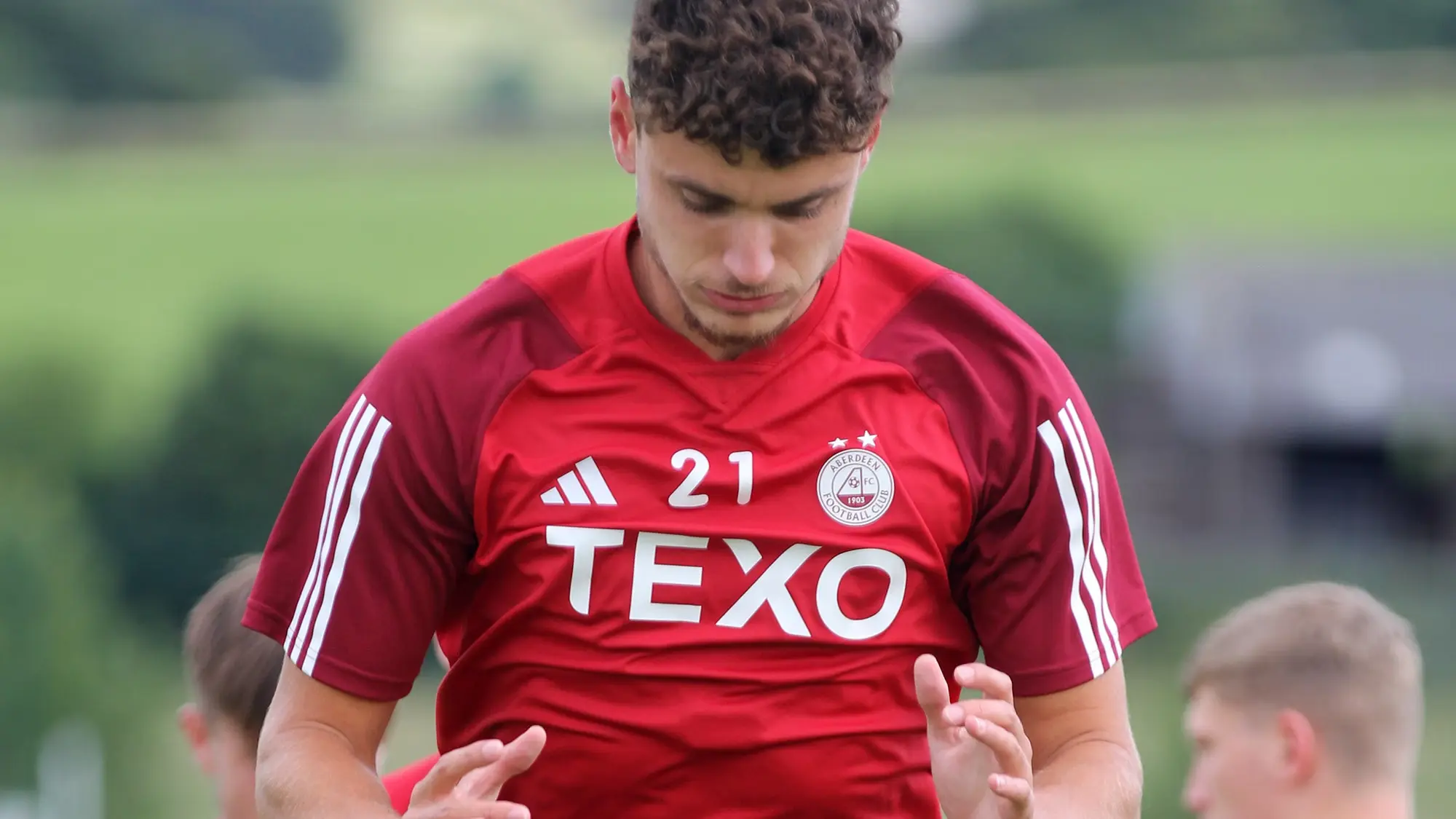 Dante Polvara feature on RedTV image