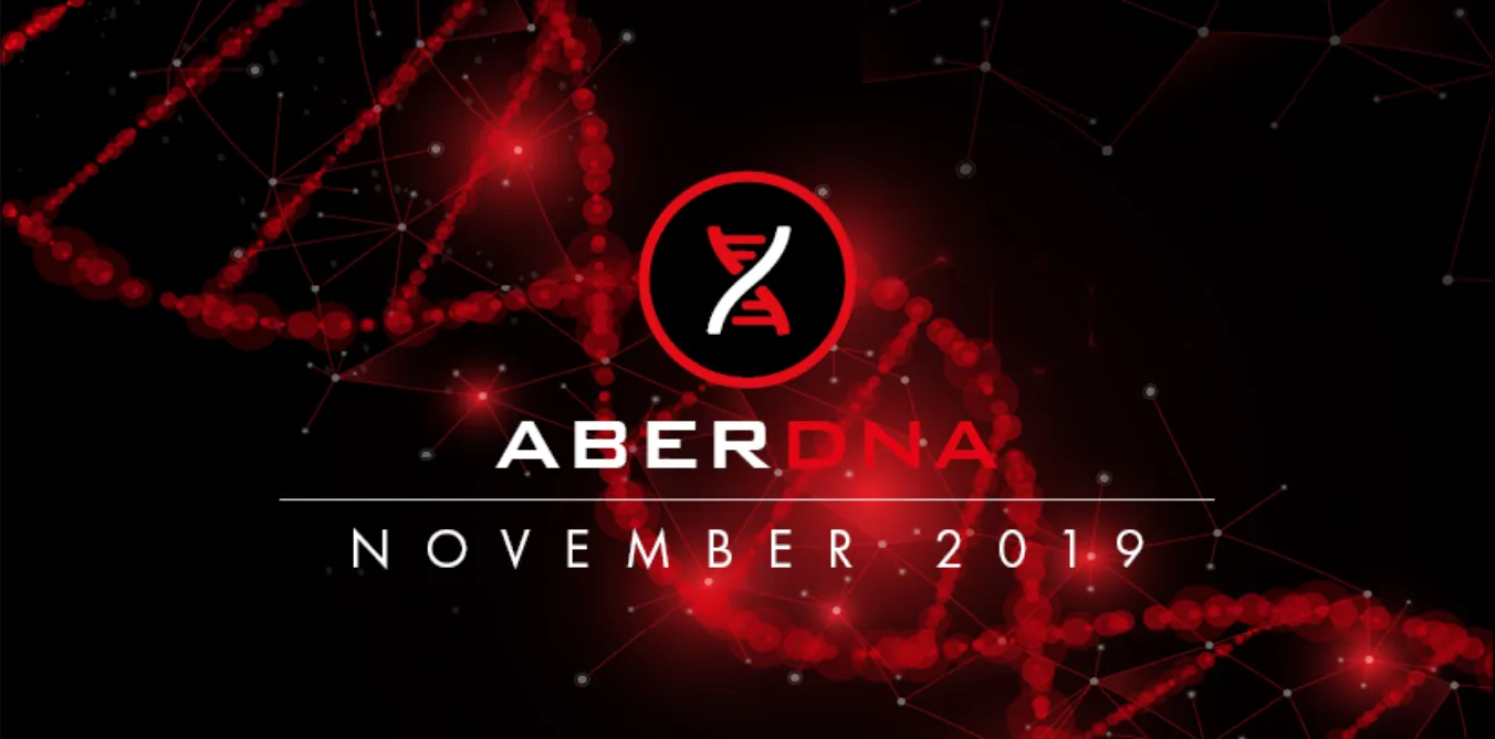Newsletter | November 2019