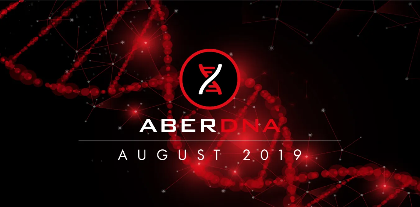 Newsletter | August 2019