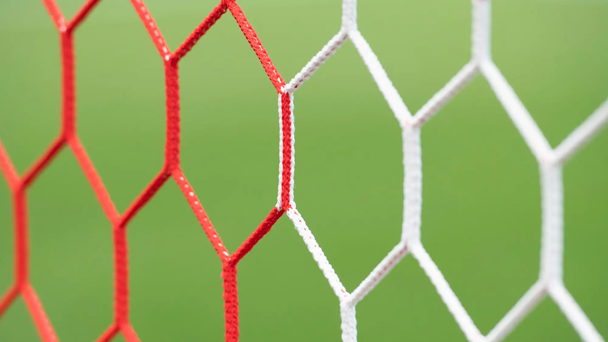 Development Squad Fixture